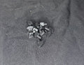 Secondary Clutch Buttons for Jr Dragster Clutch